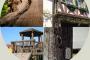 IML -Wood Testing image 2 Home.jpg