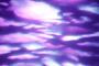 GAM PRODUCTS image 1 gam_effect1.jpg